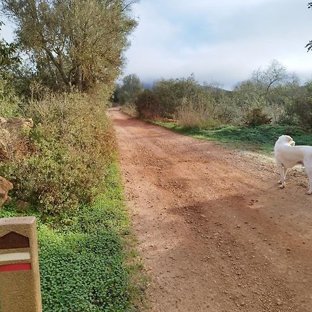 باديرن B&B Entrecolinas المظهر الخارجي الصورة