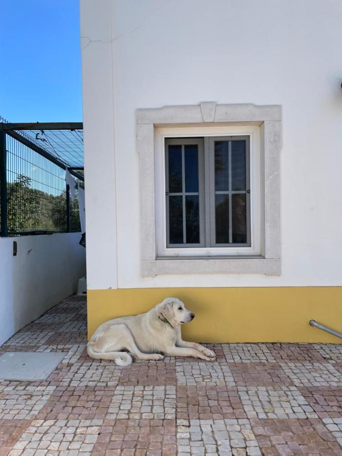 باديرن B&B Entrecolinas المظهر الخارجي الصورة