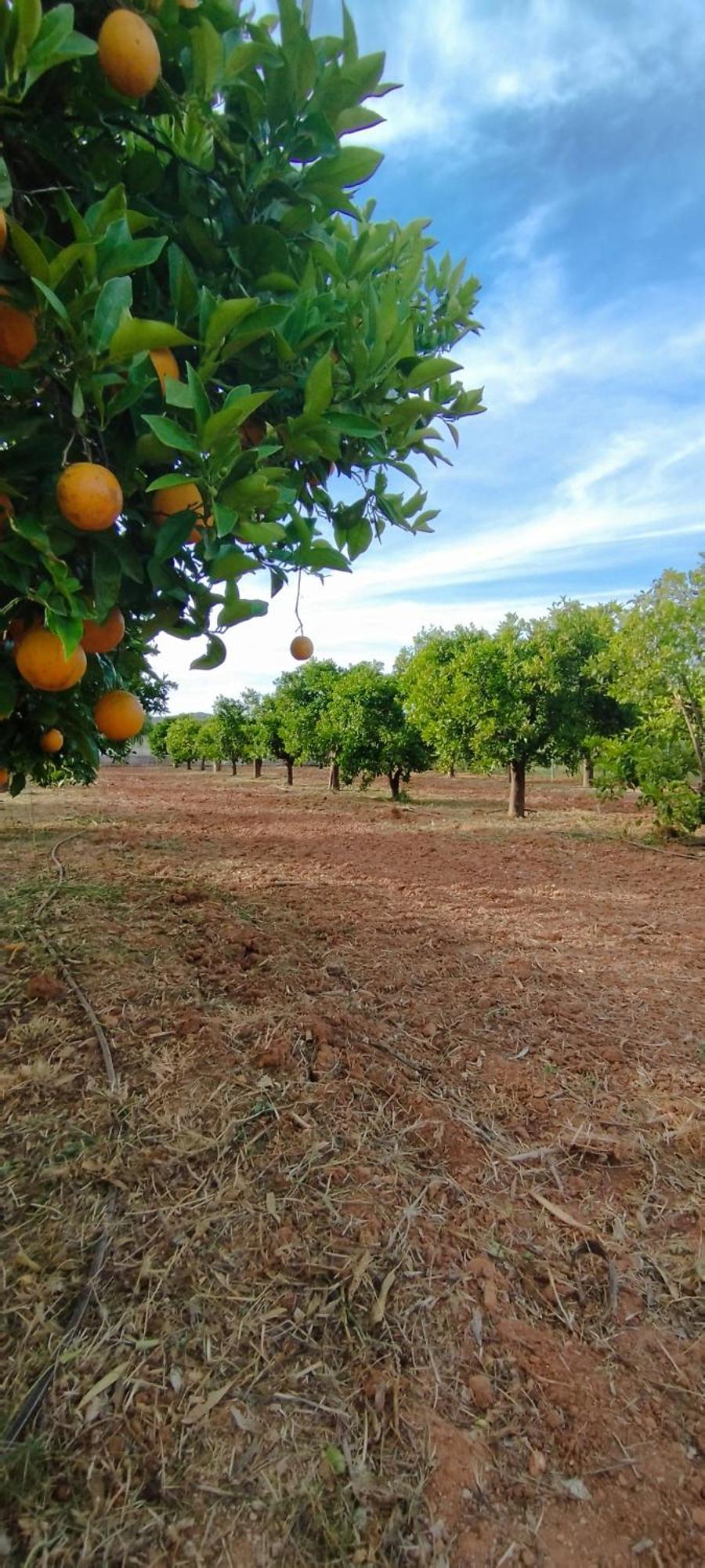 باديرن B&B Entrecolinas المظهر الخارجي الصورة